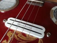 Dobro Seymour Duncan 1