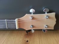 Dobro Seymour Duncan 6
