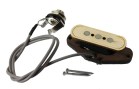 Delta Blues Pickup